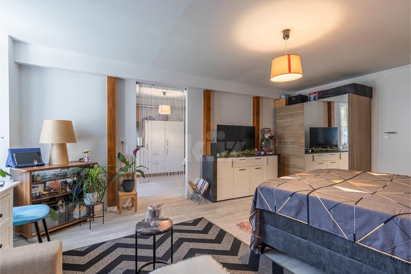 Immeuble de 5 appartements à deux pas du centre-ville (9)