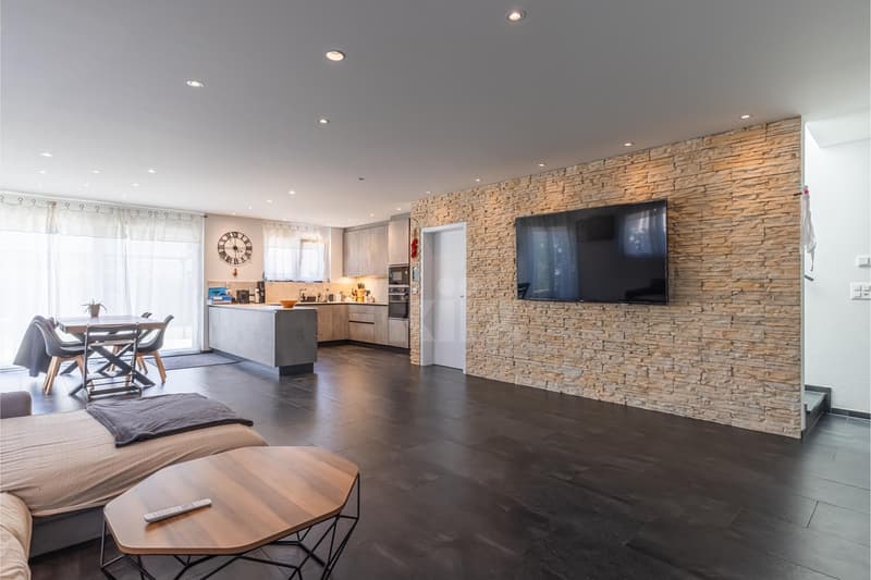 Belle maison contemporaine avec jardin et deux terrasses (3)