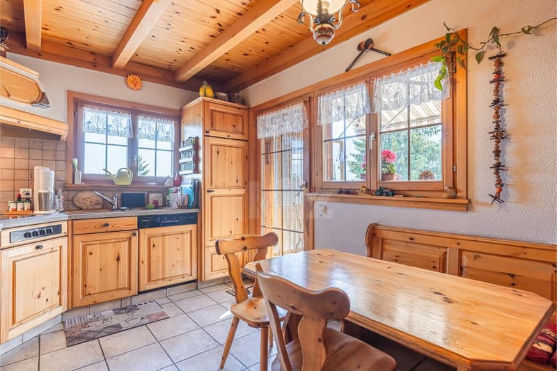 Chaleureux duplex avec terrasse et vue montagnes (3)