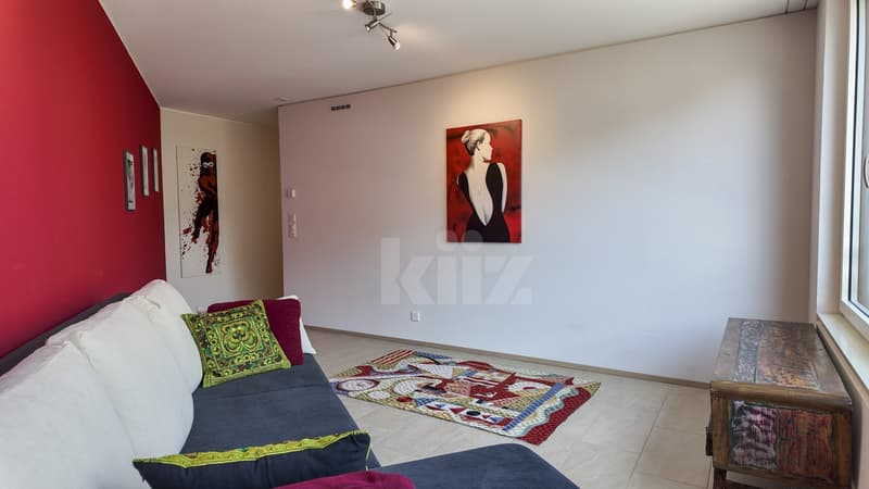 Bel appartement avec loggia (7)