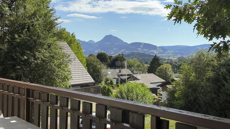 Charmante maison individuelle avec balcon et grand jardin (12)