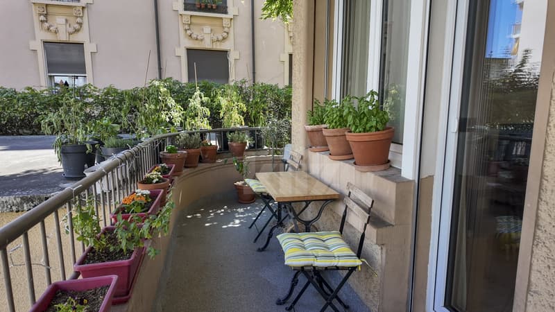 Bel appartement de plein pied avec balcon (7)
