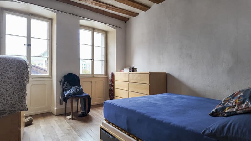 Pour investisseurs! 3 appartements et 1 local commercial (5)