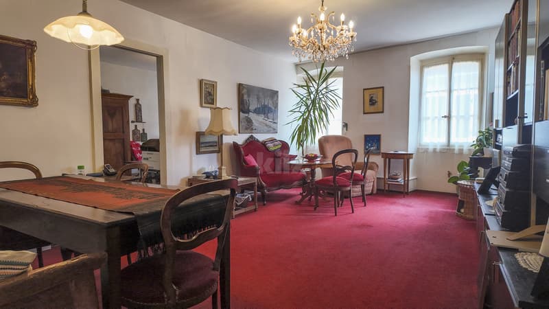 Pour investisseurs! 3 appartements et 1 local commercial (7)