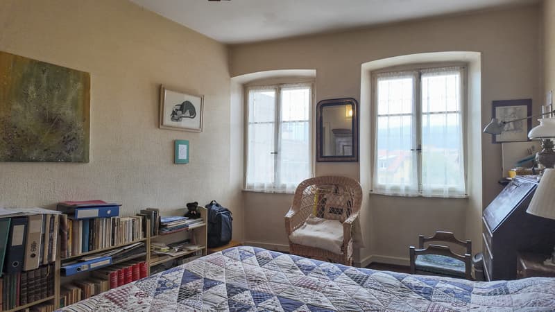 Pour investisseurs! 3 appartements et 1 local commercial (9)