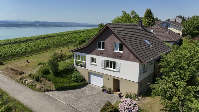 Belle villa soignée avec vue sur le lac et les montagnes (2)