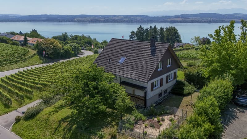 Belle villa soignée avec vue sur le lac et les montagnes (1)