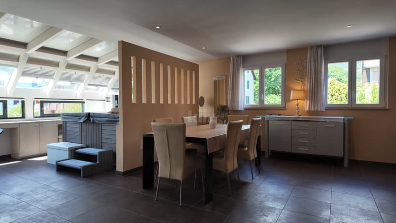 Magnifique duplex avec terrasse, jardin d'hiver et jacuzzi (5)