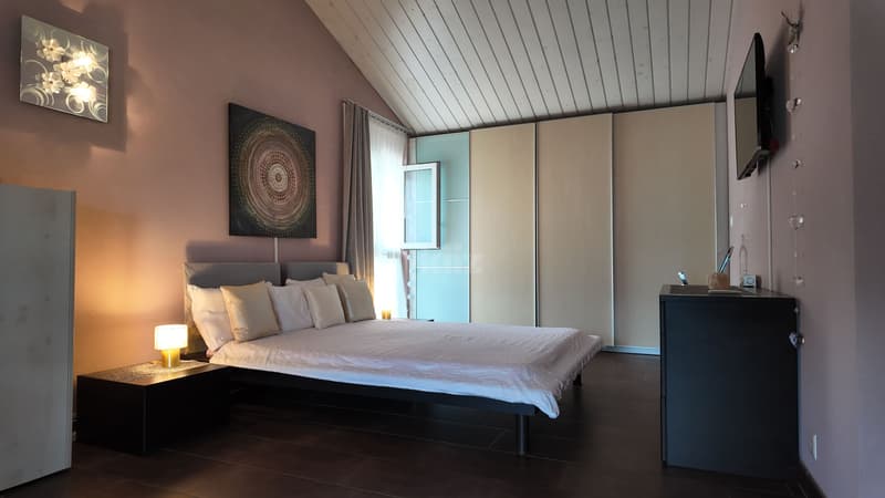 Magnifique duplex avec terrasse, jardin d'hiver et jacuzzi (9)