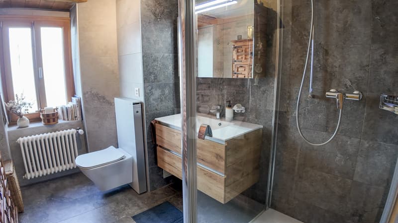 Splendide maison villageoise rénovée avec studio indépendant (8)