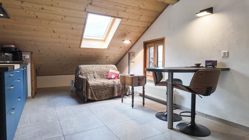 Splendide maison villageoise rénovée avec studio indépendant (10)
