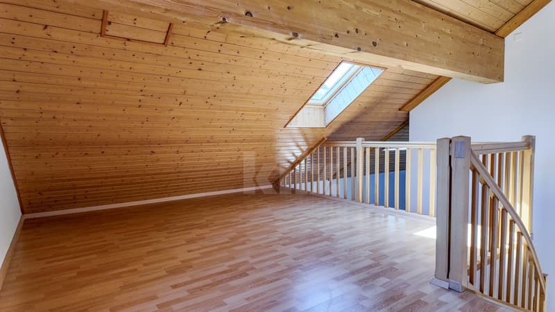 Superbe duplex rénové avec jardin privatif (10)