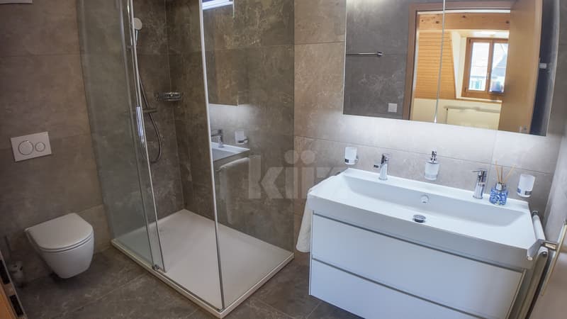Superbe duplex rénové avec jardin privatif (4)
