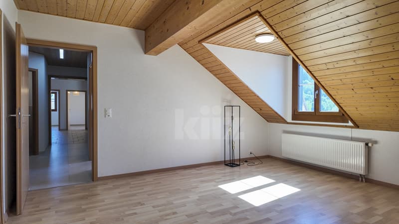 Superbe duplex rénové avec jardin privatif (3)