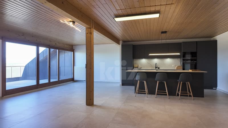 Superbe duplex rénové avec jardin privatif (1)