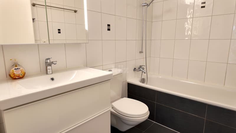 Bel appartement rénové et au coeur de la nature (10)