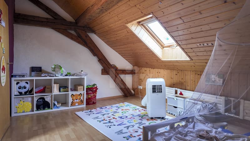 Charmante maison villageoise de deux appartements (10)