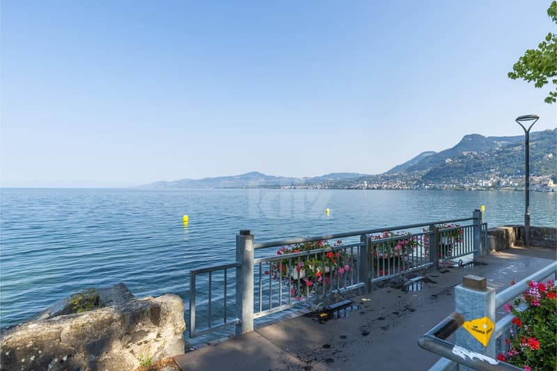 Bel appartement en front de lac avec accès plage (12)