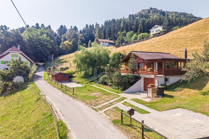Rare ! Joli chalet au coeur de la nature (11)