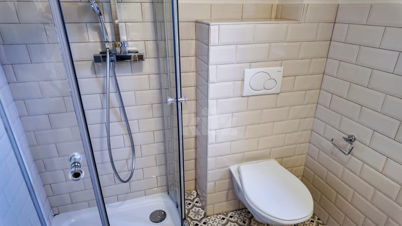 Idyllique maison du 19e rénovée avec goût, objet unique (6)