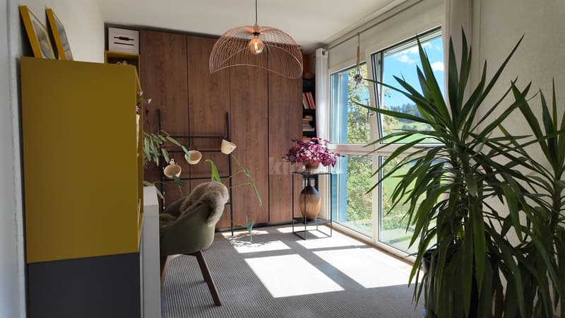 Superbe appartement avec balcon et terrasse (8)
