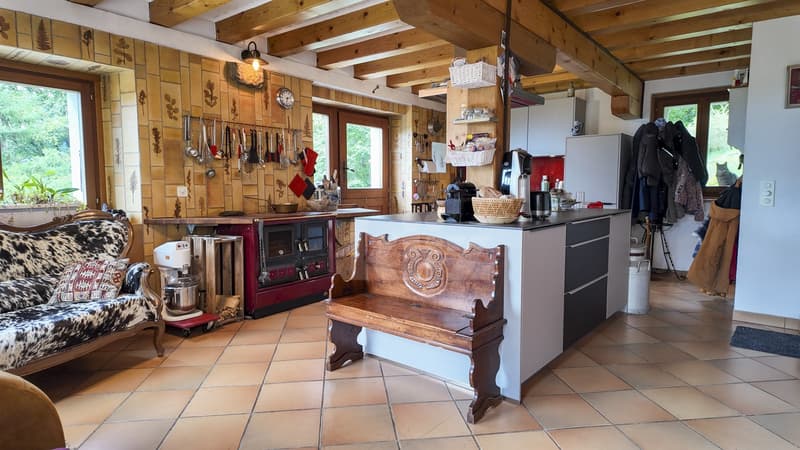 Belle maison individuelle avec vue lac (4)