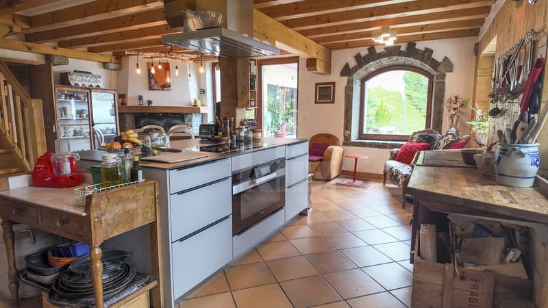 Belle maison individuelle avec vue lac (3)