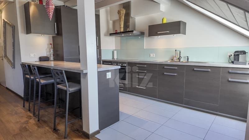 Superbe duplex sous les toits avec balcon (4)