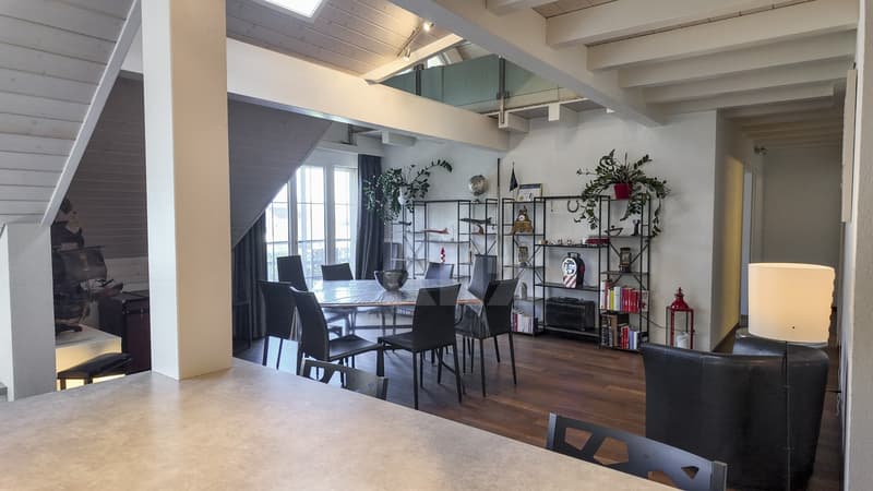 Superbe duplex sous les toits avec balcon (1)