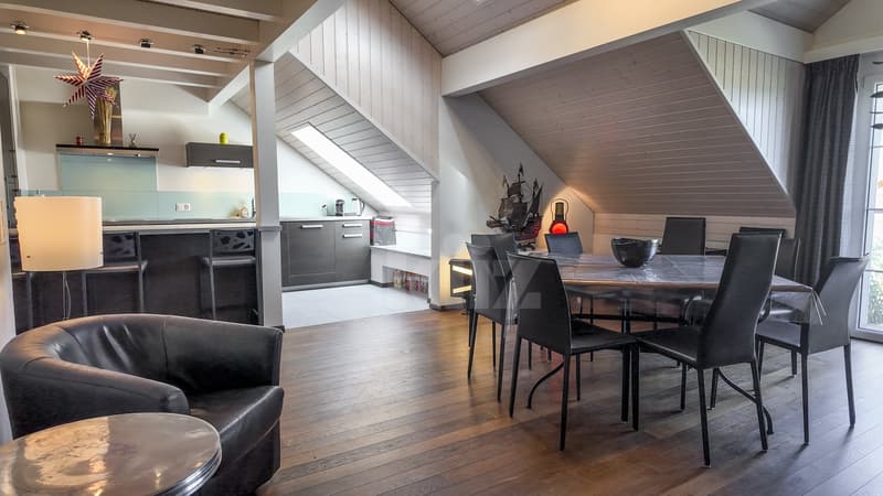 Superbe duplex sous les toits avec balcon (2)