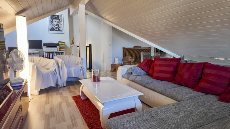 Superbe duplex sous les toits avec balcon (9)