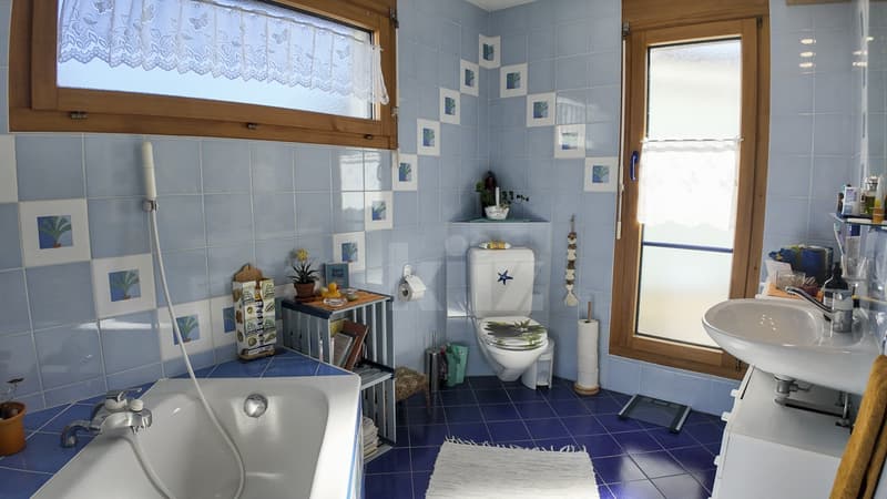 Splendide maison familiale avec grand jardin (7)