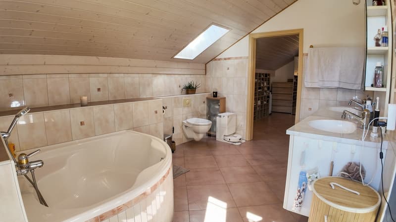 Superbe maison contemporaine avec jardin (10)