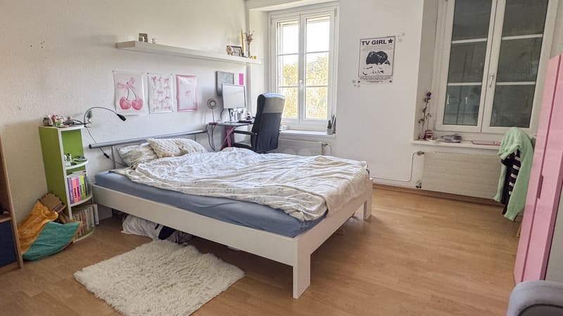 Charmante maison de deux appartements (4)
