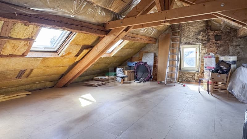 Charmante maison de deux appartements (7)