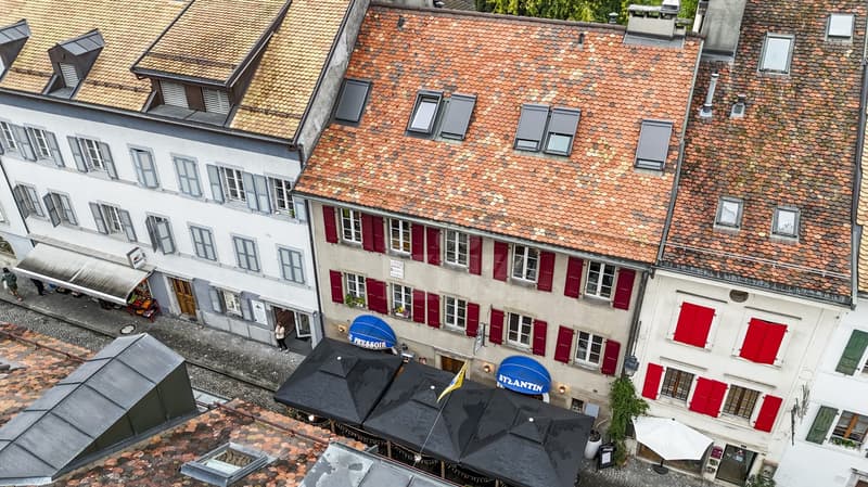 Charmant duplex avec belle terrasse et vue sur le lac (12)