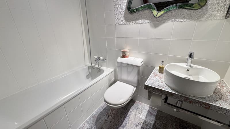 Charmant appartement rénové avec balcon (10)