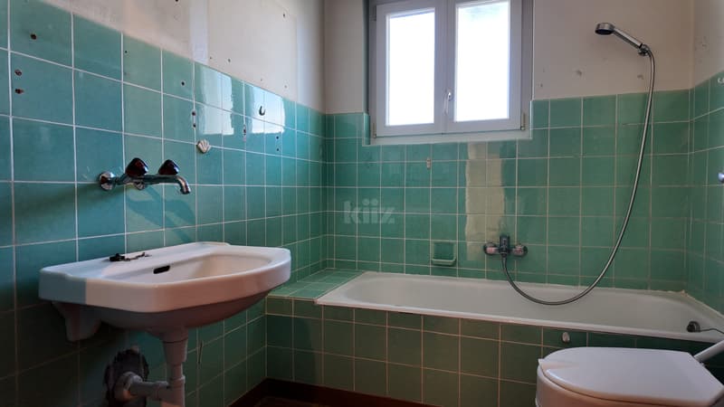 Charmante maison avec jardin arboré (6)