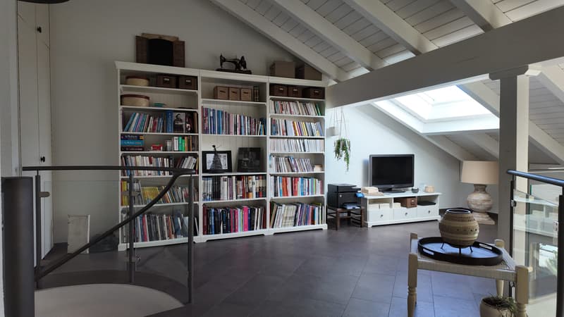 Superbe duplex avec terrasse et vue dégagée (11)