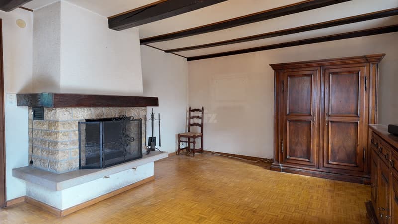 Charmante maison à rénover avec jardin (3)