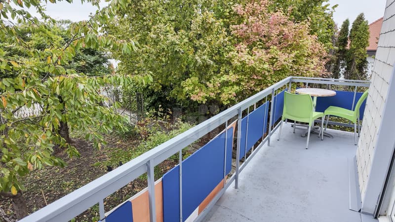 Charmante maison avec jardin arboré et balcon (8)