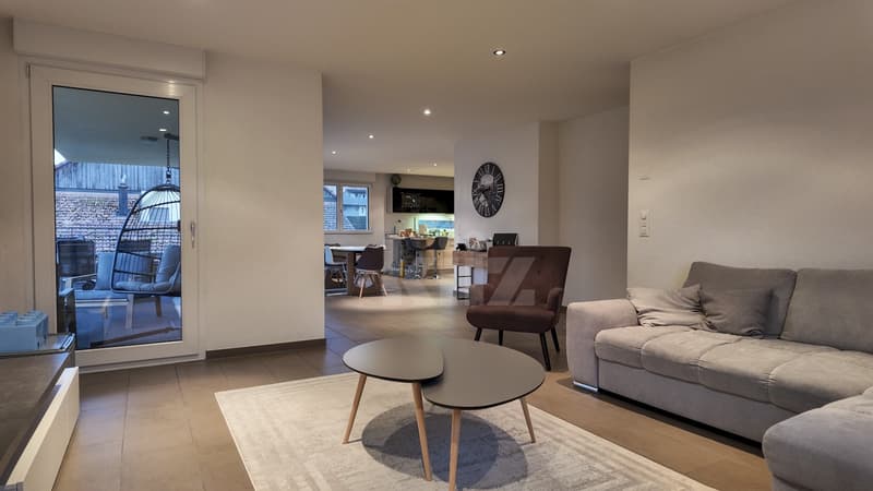 Duplex lumineux avec vue sur la Broye (4)