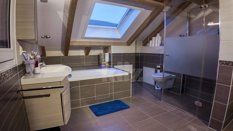 Duplex lumineux avec vue sur la Broye (11)