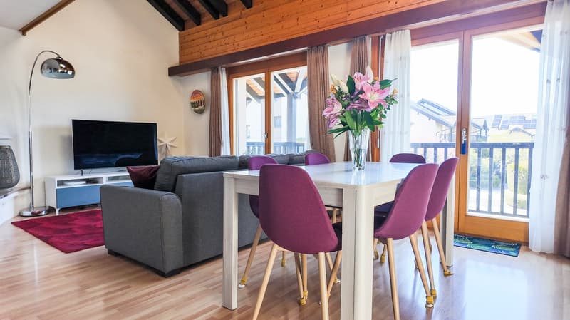 Superbe duplex traversant et rénové avec balcons (1)