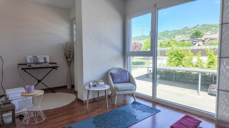 Superbe maison contiguë avec jardin et vue lac (8)
