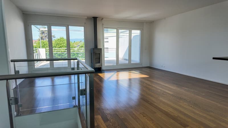 Superbe duplex en attique avec balcon et grande terrasse (2)