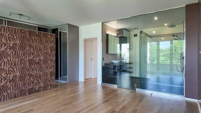 Superbe duplex en attique avec balcon et grande terrasse (9)