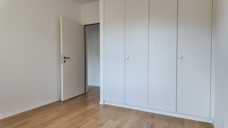 Superbe duplex en attique avec balcon et grande terrasse (7)