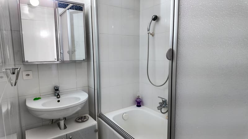 Charmant duplex avec jardin et vue sur lac et montagnes (6)