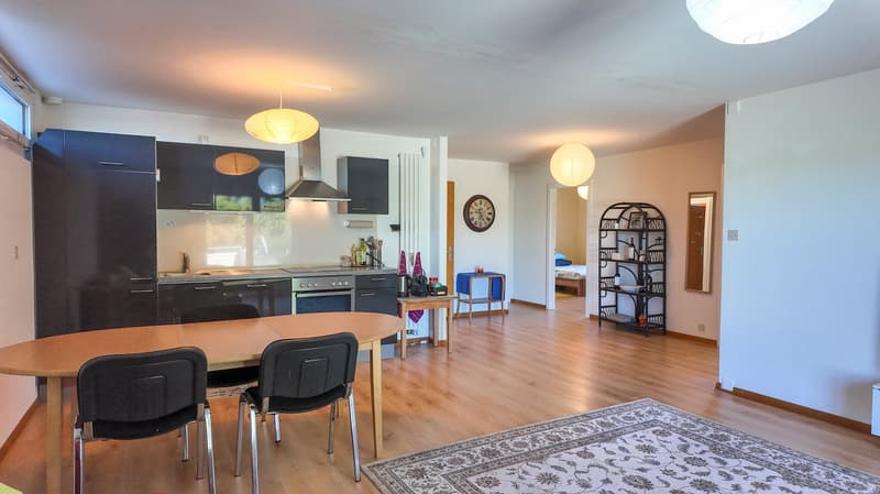 Maison de 3 logements avec ateliers au formidable potentiel (3)